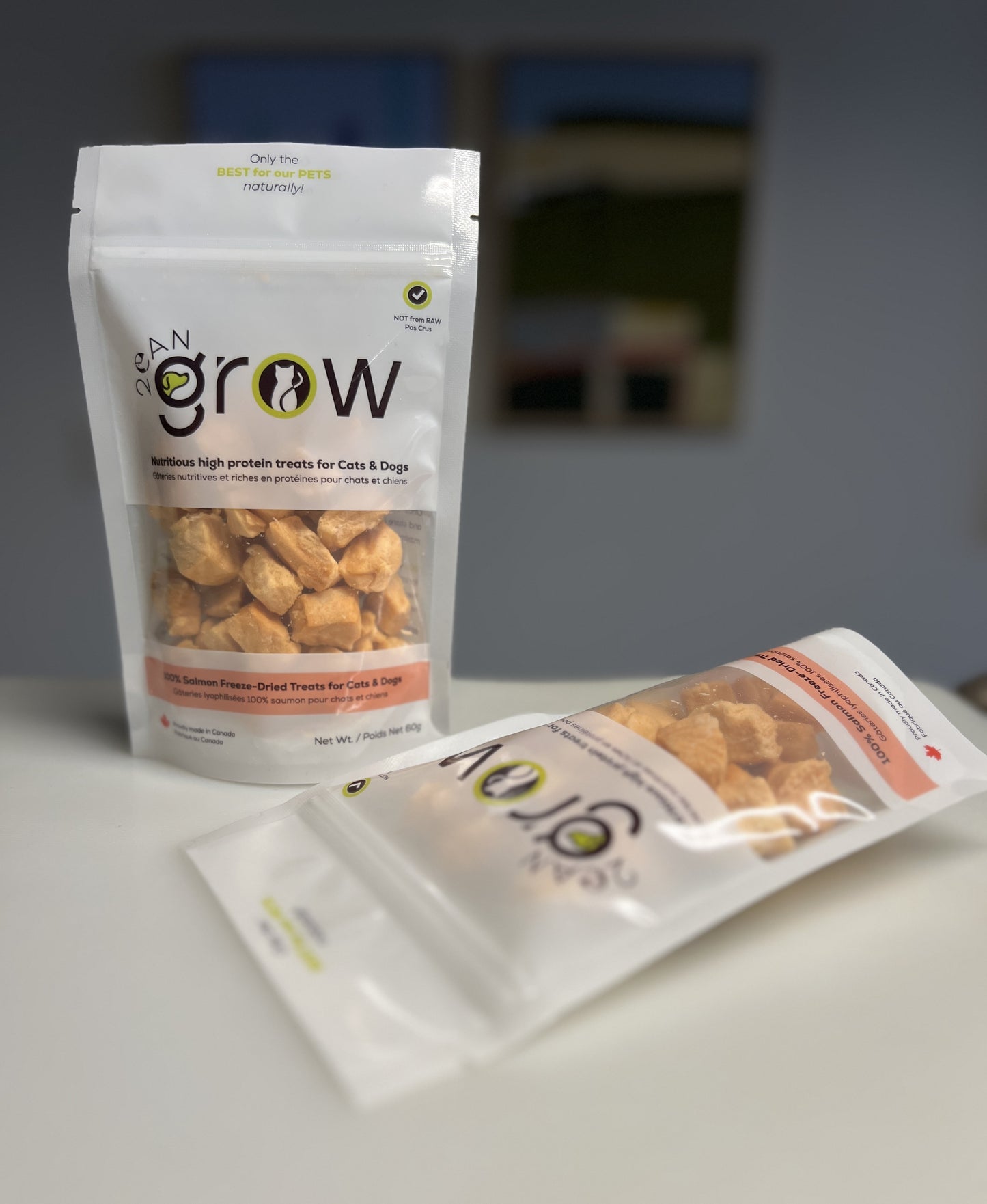100% Salmon Freeze-Dried Treats for Cats & Dogs
