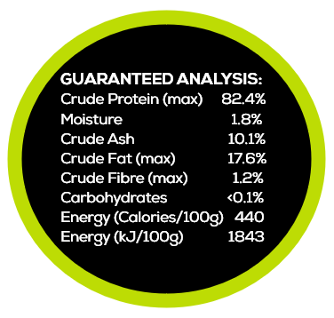 100% Beef Freeze-Dried Treats for Cats & Dogs